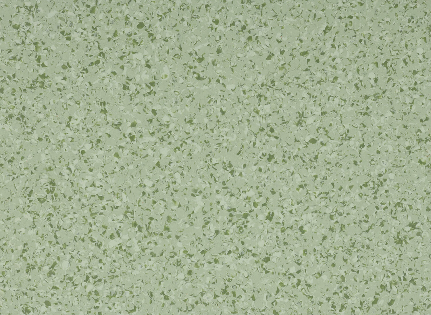 4407 SPEARMINT