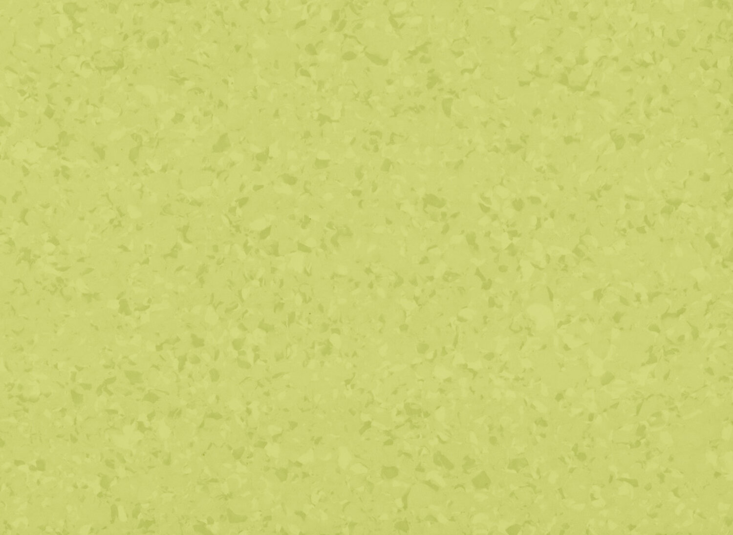 6027 ACACIA