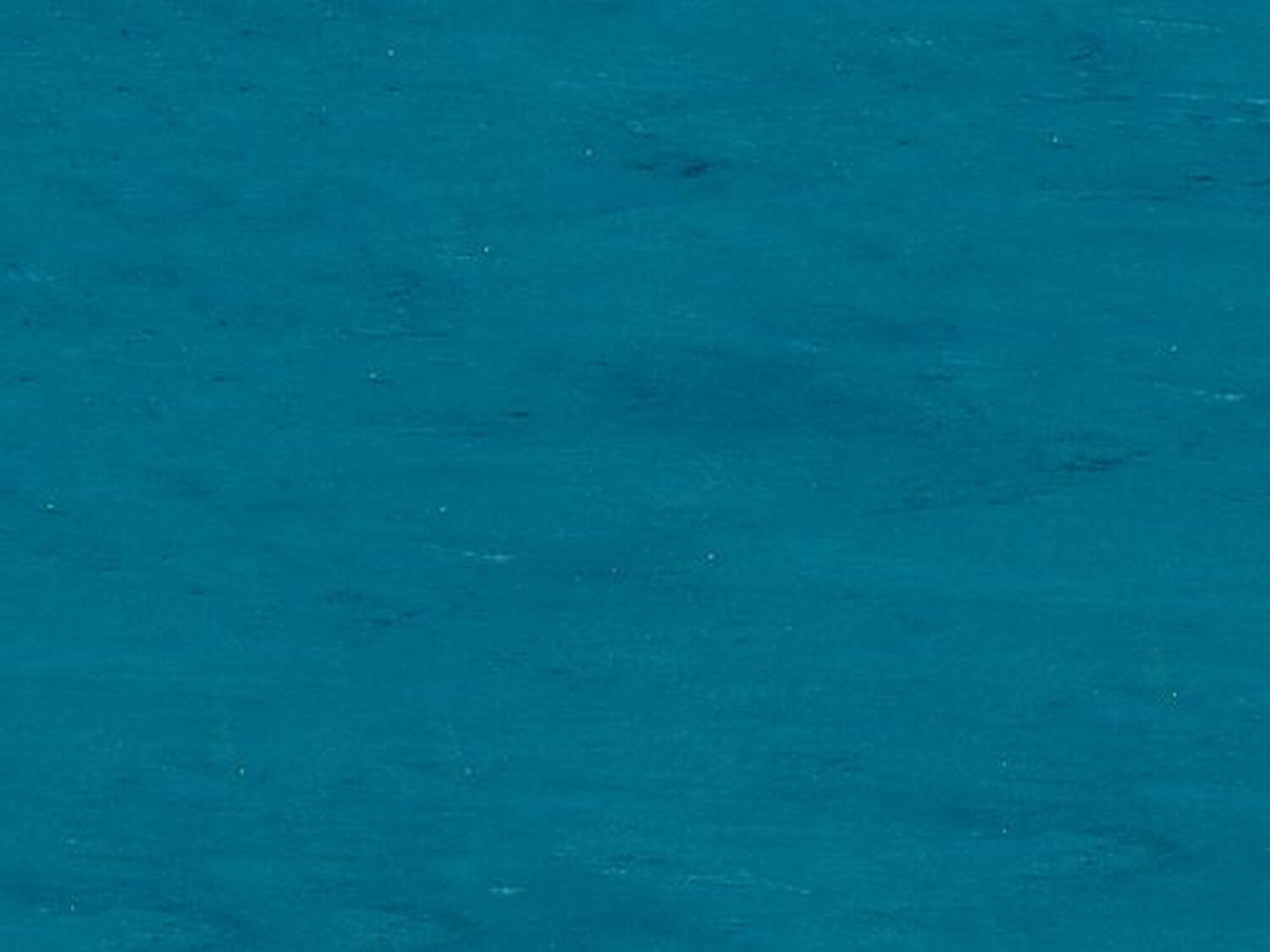 2061 DUCK BLUE